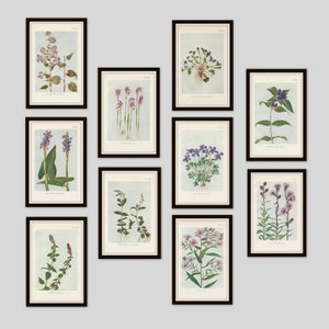 May include: A collection of ten framed botanical prints featuring various purple and pink flowers. The prints are arranged in a grid pattern on a light gray wall.