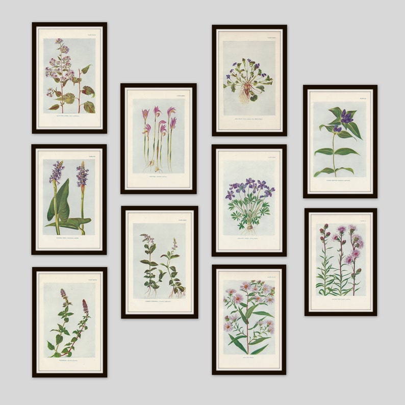 May include: A collection of ten framed botanical prints featuring various purple and pink flowers. The prints are arranged in a grid pattern on a light gray wall.