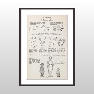 May include: A framed vintage print titled "MATING" with black line drawings of animals and humans. The print includes text explaining biological concepts, such as why different species cannot reproduce. The print is in a black frame.