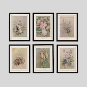 Any 3 Botanical Prints, Set of 3, Antique Botanical, Botanical Print Set, Set of Prints, Cottage Decor, Victorian, Lithograph, Wildflower image 7