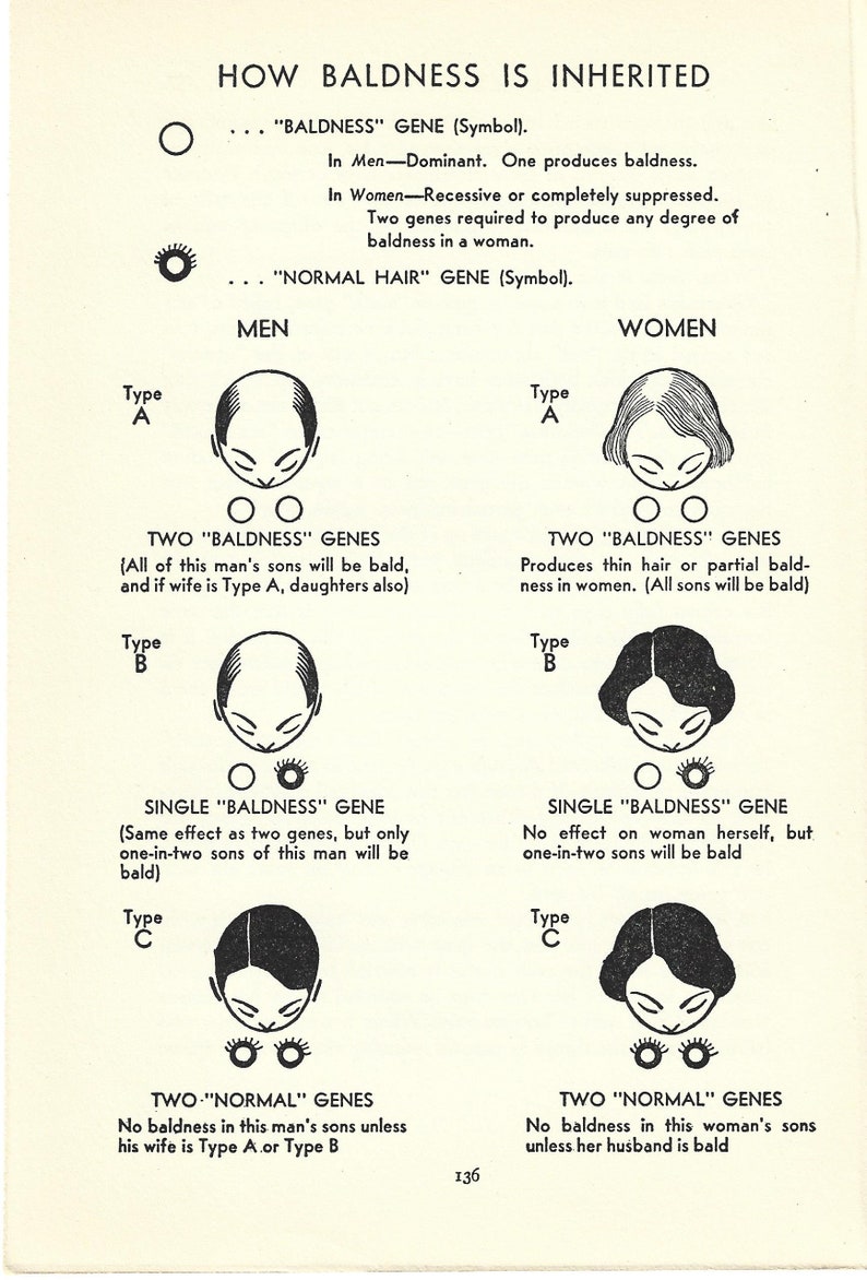 1939 Original Baldness Genetics Book Page, Men and Women Hair Loss ...