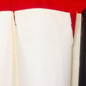 May include: A close-up of a book with white pages and a black spine. The pages are torn and show signs of age. The background is a red, textured surface.