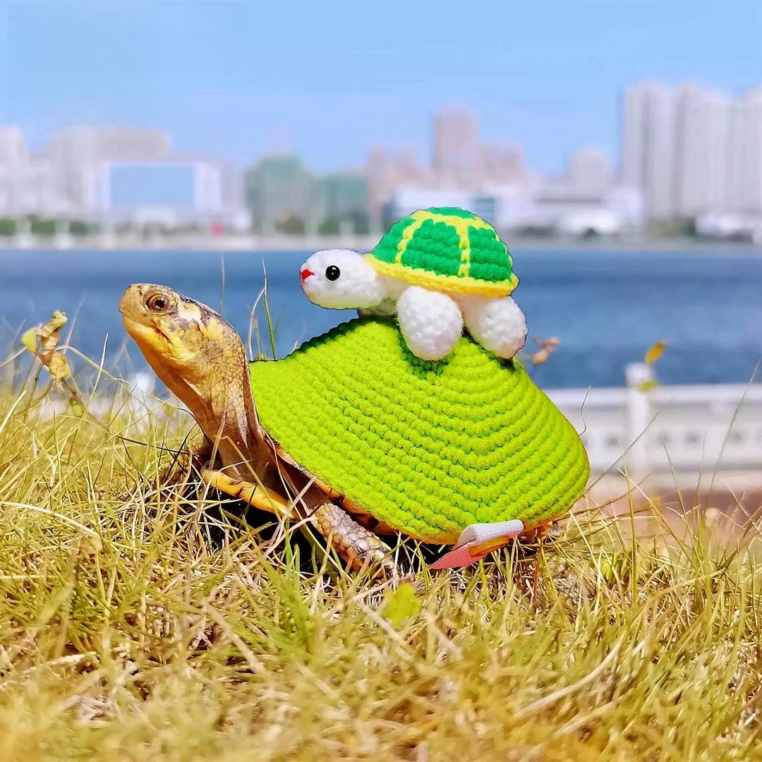 Handmade Turtle Sweater – Customizable Cozy Turtleneck for Turtles