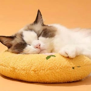 May include: A fluffy cat with brown and white fur is sleeping on a yellow, donut-shaped pet bed. The bed has a textured surface and a small green embroidered design. The background is a solid orange color.