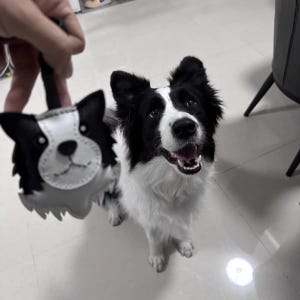 Handgemaakte leren border collie-sleutelhanger – echte geitenleer hondentasbedel, doe-het-zelfpakket of afgewerkte sleutelhanger, cadeau voor hondenliefhebbers