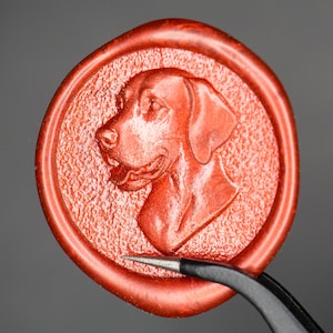 Peut inclure: Un sceau en cire rouge circulaire présentant un relief en profil d'une tête de chien. Le sceau possède un fond texturé à l'intérieur de la bordure et est maintenu par une pince en métal noir au bord inférieur de l'empreinte en cire.