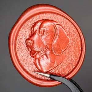 Könnte beinhalten: Ein kreisförmiges rotes Wachssiegel mit einem erhabenen Relief eines Hundekopfes mit Schlappohren und offenem Maul. Der Hintergrund des Siegels hat eine texturierte, körnige Oberfläche. Eine schwarze Metallpinzette ist am unteren Rand sichtbar.