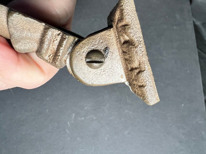 May include: A close-up of a metal hinge with a decorative design. The hinge is made of a light brown metal and has a screw in the center.