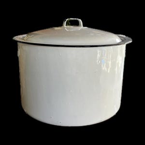 Vintage Enamelware Stock Pot and Lid White Black Handle Canning Kitchen Repurpose in Garden