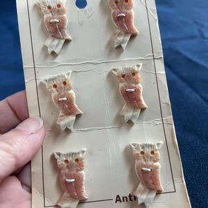 Gewei Knopen Handgesneden Uilen Rustiek Natuurlijk Primitief Land Vintage Levert Originele kaart