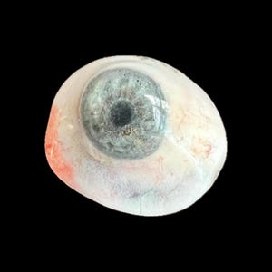 Prothetisches Auge Okulare Prothetik Vintage Fake Blau Grau Augapfel