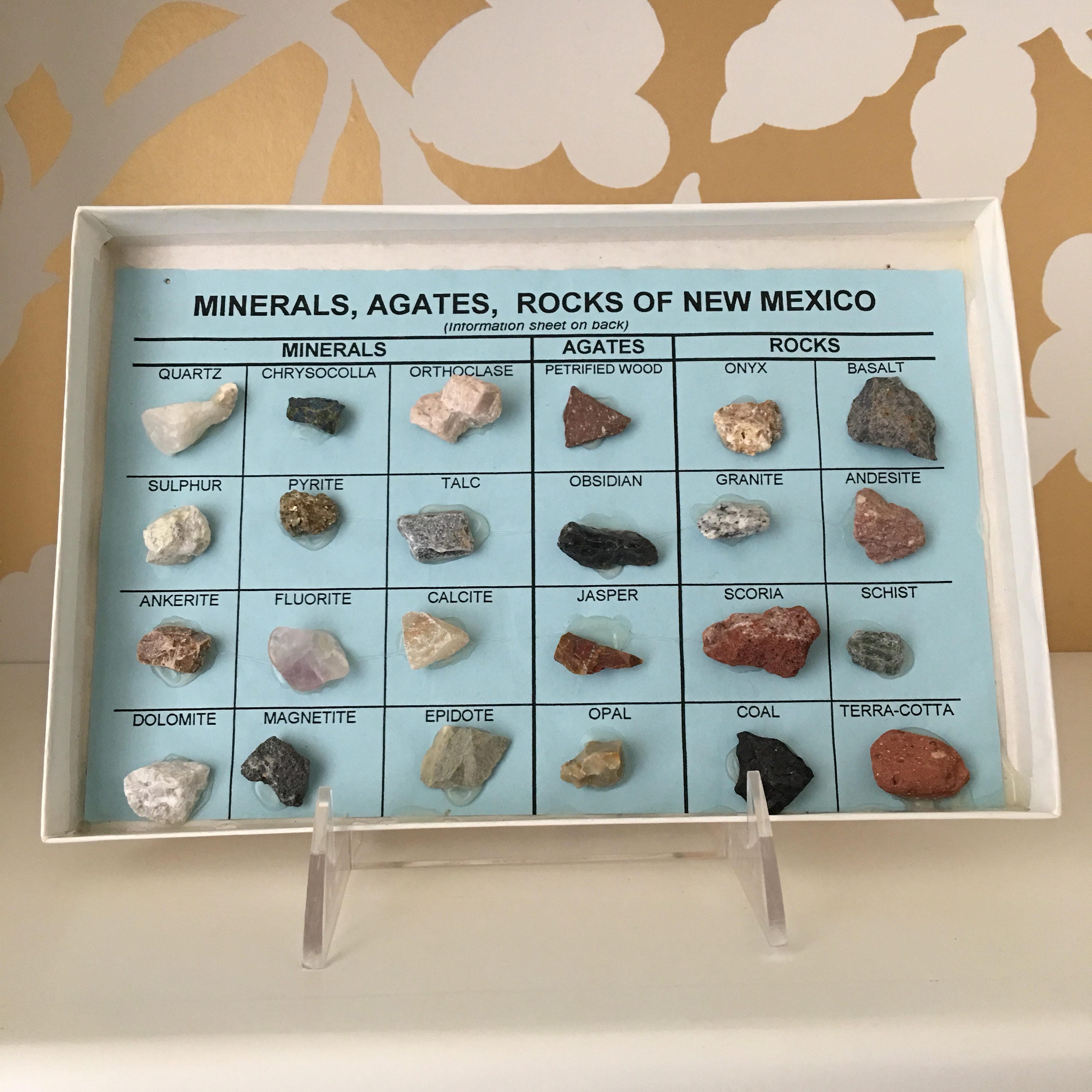 Rocks of New Mexico Vintage Natural Specimen Display 新型スマホOPPO New Mexico ヴィンテージ ボックス 小物入れ