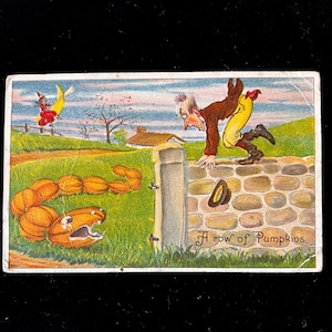 May include: Vintage postcard illustration featuring a man in brown and yellow clothing, seemingly startled by a pumpkin snake. A figure on a crescent moon is in the background. The text "A row of Pumpkins" is at the bottom.