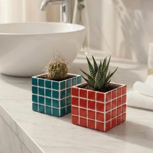 Può includere: Due piccole piante grasse in vasi a forma di cubo. Uno è turchese, l'altro rosso, entrambi con linee a griglia bianche. Le piante sono su un piano di lavoro bianco in un bagno.