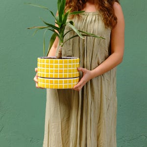 May include: A cylindrical ceramic planter featuring a bright yellow tiled mosaic pattern with white grout lines. The planter consists of two stacked sections and contains a green yucca plant with long, pointed leaves extending upwards.