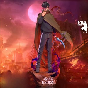 Sung Jinwoo - Solo Leveling - 30 cm figure/Statue ,Sla/3D Printed ,Painted