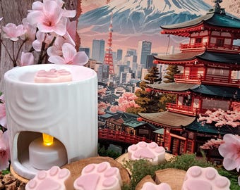 2X Pitchi scented fondant
