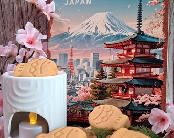 Taiyaki Chocolate Fragrant Fondant