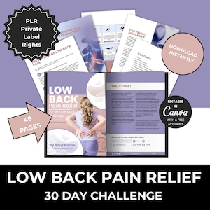 以下が含まれることがあります： 30日間の腰痛緩和チャレンジのデジタル製品カバー。カバーには、ピンクのシャツを着た女性が写っており、「LOW BACK Pain Relief 30-day low back challenge」と「49 PAGES」のテキストが書かれています。カバーには、「Editable in Canva with a free account」と「Download Instantly」のテキストも含まれています。