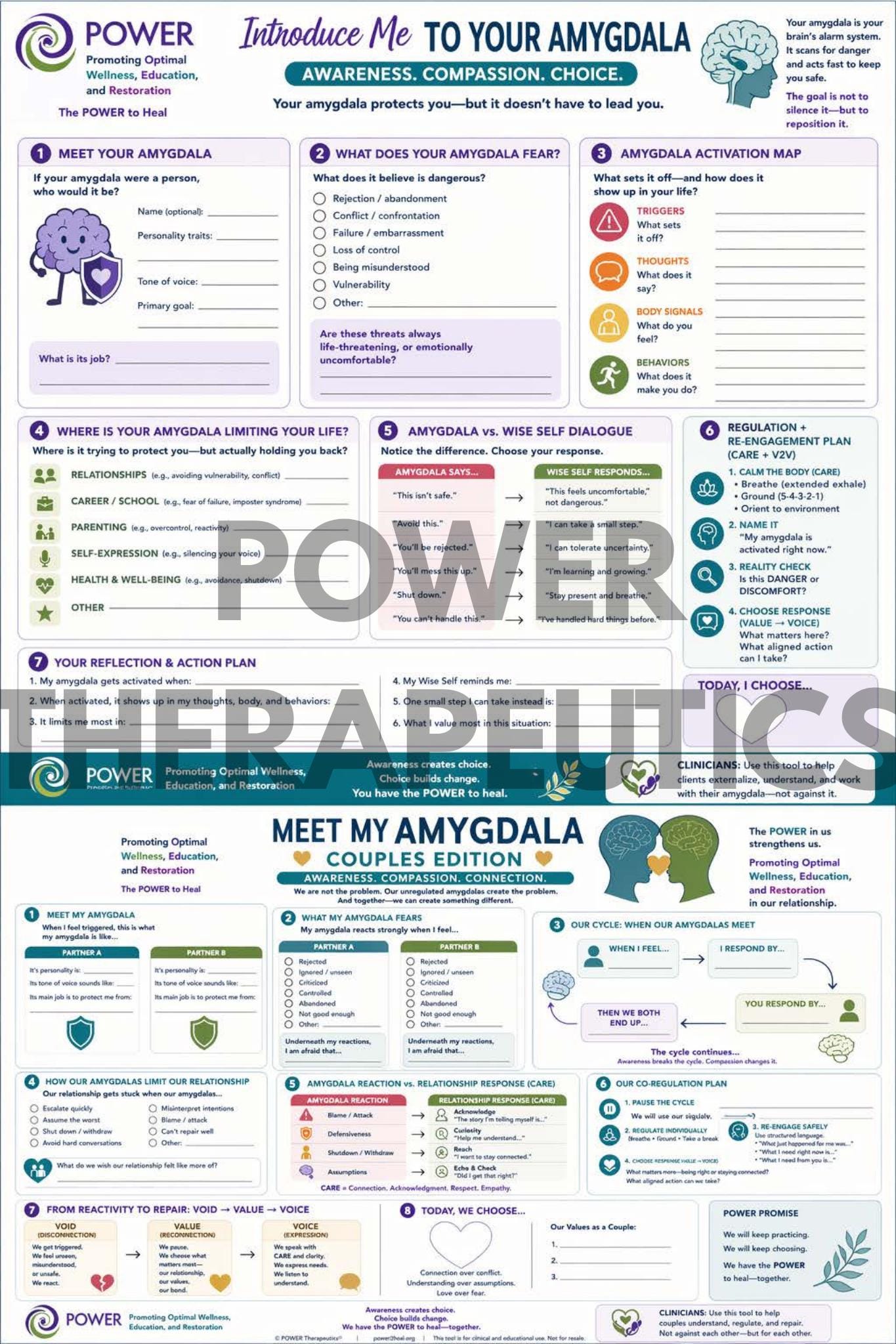 Introduce Me to Your Amygdala. Power Clinician Worksheet. - Etsy
