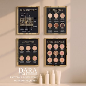 May include: Four framed educational posters with gold borders on a wall. The posters display information on skin anatomy, the Fitzpatrick scale, acne types, and skin diseases. Below the posters are white skincare bottles and tubes.