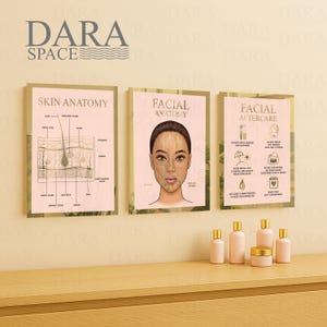 Beauty Salon Decor, Facial Aftercare, Facial Anatomy, Skin Anatomy, 3 Beauty Clinic Signs, Medspa Decor, Beauty Room Decor, Skin Diagram