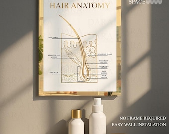 Gold Mirror Hair Anatomy Sign: Salon & Clinic Wall Decor