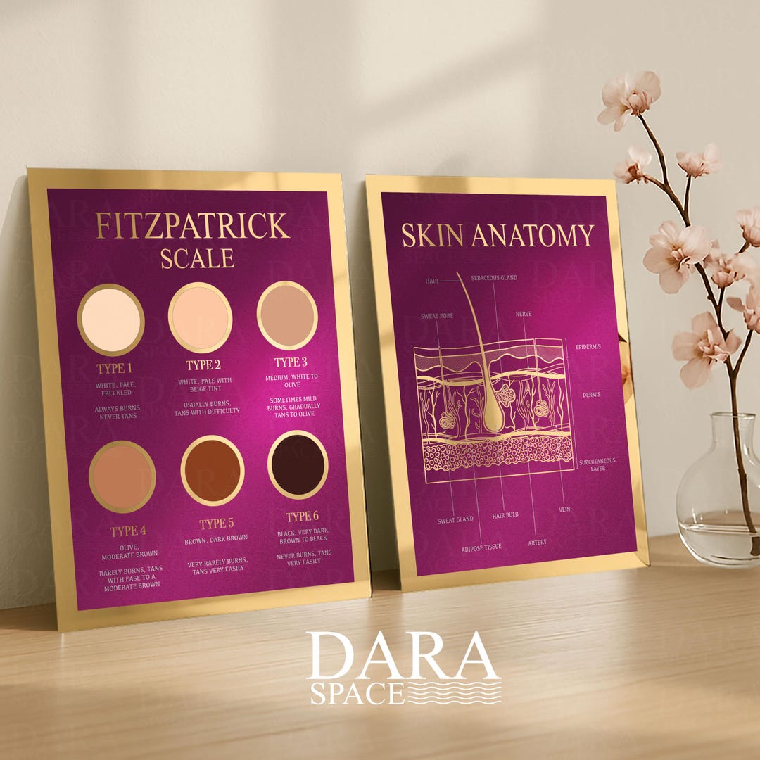 Fitzpatrick Scale and Skin Anatomy Decor, Set of 2 Acrylic Signs, Med ...