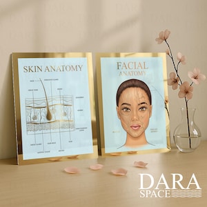 Skin Anatomy, Facial Anatomy, Beauty Salon Signs, Beauty Room Decor, Dermatology Poster, Beauty Clinic Signs, Skin Diagram, Face Diagram