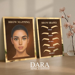 Op de afbeelding: Twee ingelijste prints met gouden randen. Eén toont een vrouwengezicht met wenkbrauwmappinglijnen, de andere wenkbrauwvormen. De teksten "BROW MAPPING" en "BROW SHAPES" zijn zichtbaar.
