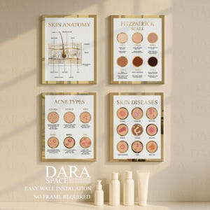 May include: Four framed educational posters with gold borders. The posters display information on skin anatomy, the Fitzpatrick scale, acne types, and skin diseases. Below the posters are several white cosmetic bottles and tubes. The text "DARA SPACE" is visible.