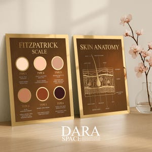May include: Two framed prints with gold borders. One displays the Fitzpatrick Scale with skin tone examples and text. The other shows a diagram of skin anatomy. The prints are on a wooden surface with a vase of flowers.