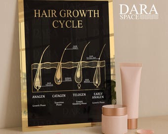 Gold Mirror Hair Growth Cycle Chart: Salon & Clinic Decor