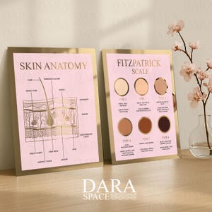 May include: Two framed pink prints with gold borders. One details skin anatomy, the other the Fitzpatrick Scale. The prints are displayed on a light-colored wooden surface. The Dara Space logo is at the bottom.