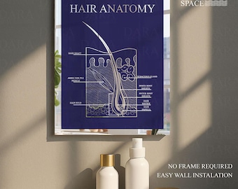 Hair Anatomy Acrylic Mirror Sign: Salon & Trichology Clinic Wall Art