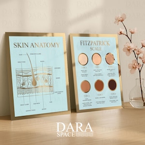 May include: Two framed prints with gold borders. One displays a skin anatomy diagram with labels. The other shows the Fitzpatrick Scale with skin tone examples. Both prints have a light blue background and gold text. The Dara Space logo is at the bottom.