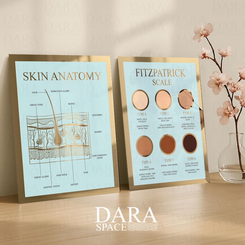 May include: Two framed prints with gold borders. One displays a skin anatomy diagram with labels. The other shows the Fitzpatrick Scale with skin tone examples. Both prints have a light blue background and gold text. The Dara Space logo is at the bottom.