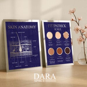 May include: Two framed prints with silver frames. One print displays a diagram of skin anatomy with labels. The other print shows the Fitzpatrick Scale with skin tone examples. Both prints have a dark blue background.