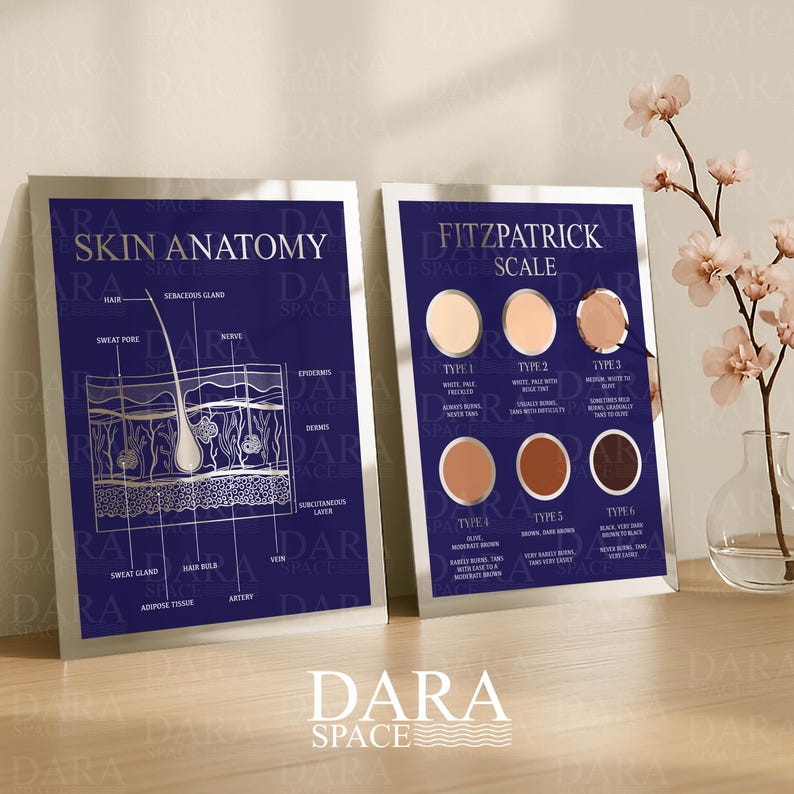 May include: Two framed prints with silver frames. One print displays a diagram of skin anatomy with labels. The other print shows the Fitzpatrick Scale with skin tone examples. Both prints have a dark blue background.
