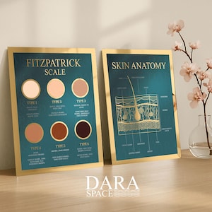 May include: Two framed prints with gold borders. One features the Fitzpatrick Scale with skin tone examples. The other shows a diagram of skin anatomy. Both prints have a teal background and are displayed on a wooden surface.