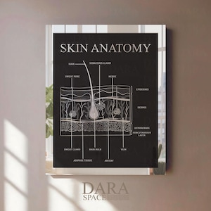 Skin Diagram, Skin Anatomy Sign, Beauty Salon Decor, Skin Wall Art, Dermatology Decor, Beauty Clinic Decor, Medspa Sign, Plastic Skin Sign