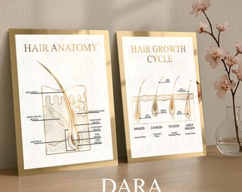 Gold Mirror Hair Anatomy & Growth Cycle Signs: Salon Wall Decor