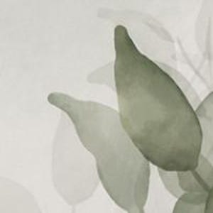 Save the Date Karte | Hochzeit Greenery | Canva Vorlage | Digitaler Download | Eukalyptus Hochzeit | Editable Template image 5