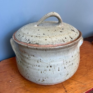 May include: A speckled ceramic lidded pot with a loop handle. The pot is light green with dark brown speckles and a reddish-brown rim. The pot has two small handles on the sides.