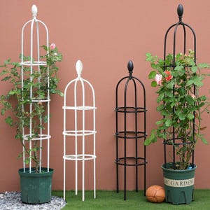 May include: Four decorative garden obelisks in white and black, with a domed top and horizontal support rings. Two obelisks are planted with rose bushes in green pots. A small basketball sits on the grass.