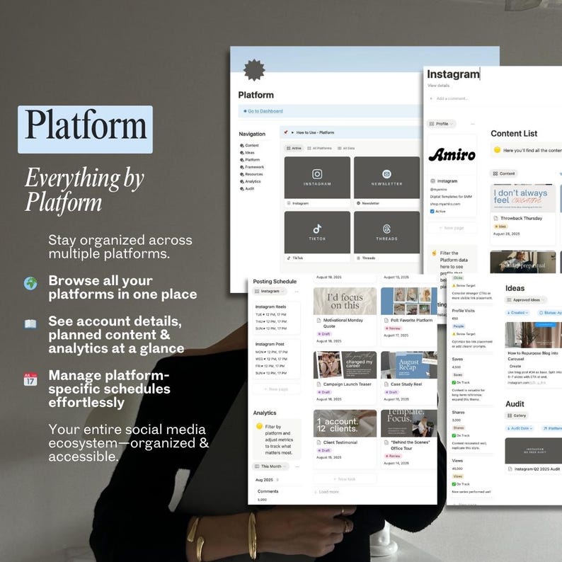 Puede incluir: Interfaz de plataforma digital con la palabra "Platform" en un cuadro azul claro. La interfaz muestra herramientas de gesti&oacute;n de redes sociales, incluyendo Instagram, TikTok y Threads. El texto a la izquierda describe las caracter&iacute;sticas de la plataforma.