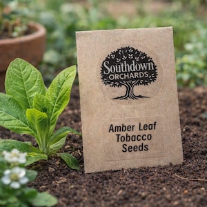 mild tobacco Black & Mild Cigars & Flavors Guide
