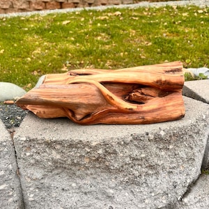 Legno di Manzanita da 16&#39;&#39; x 8&#39;&#39; per acquari o altri recinti per animali domestici.