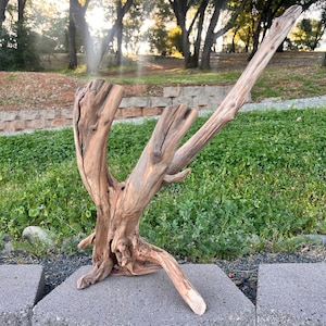 Ramo di Manzanita alto 24&#39;&#39; x largo 16&#39;&#39; per acquari
