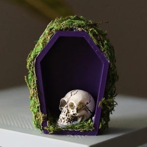 Jumping Spider Coffin Hide with Safe, Non-Toxic Natural Moss – 3D Printed